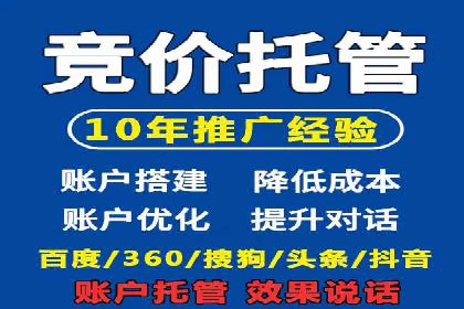 SEM推广案例：提升网站转化率策略解析
